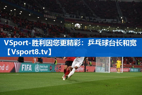 VSport-胜利因您更精彩：乒乓球台长和宽