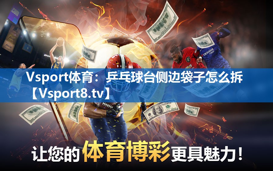 Vsport体育：乒乓球台侧边袋子怎么拆