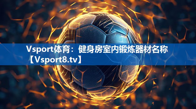 Vsport体育：健身房室内锻炼器材名称