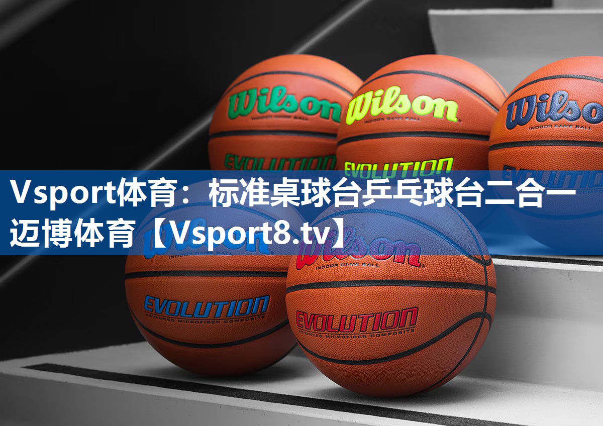 Vsport体育：标准桌球台乒乓球台二合一迈博体育