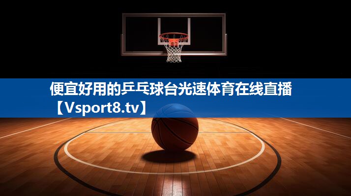 便宜好用的乒乓球台光速体育在线直播