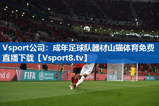 Vsport公司：成年足球队器材山猫体育免费直播下载