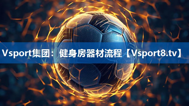 Vsport集团：健身房器材流程