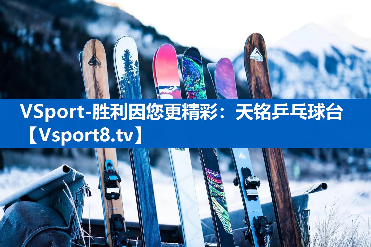 VSport-胜利因您更精彩：天铭乒乓球台