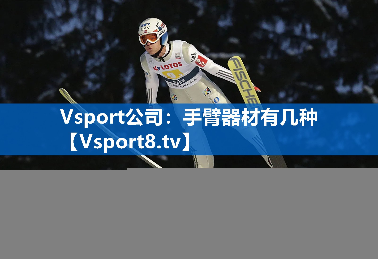 Vsport公司：手臂器材有几种