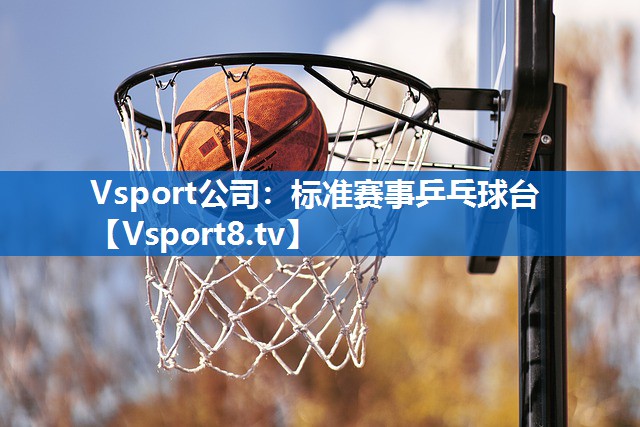 Vsport公司：标准赛事乒乓球台