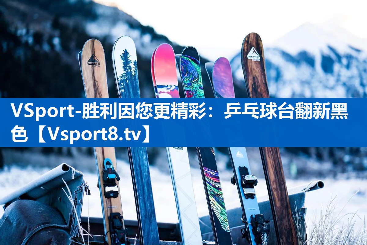 VSport-胜利因您更精彩：乒乓球台翻新黑色