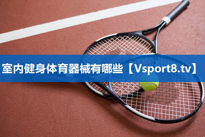 室内健身体育器械有哪些