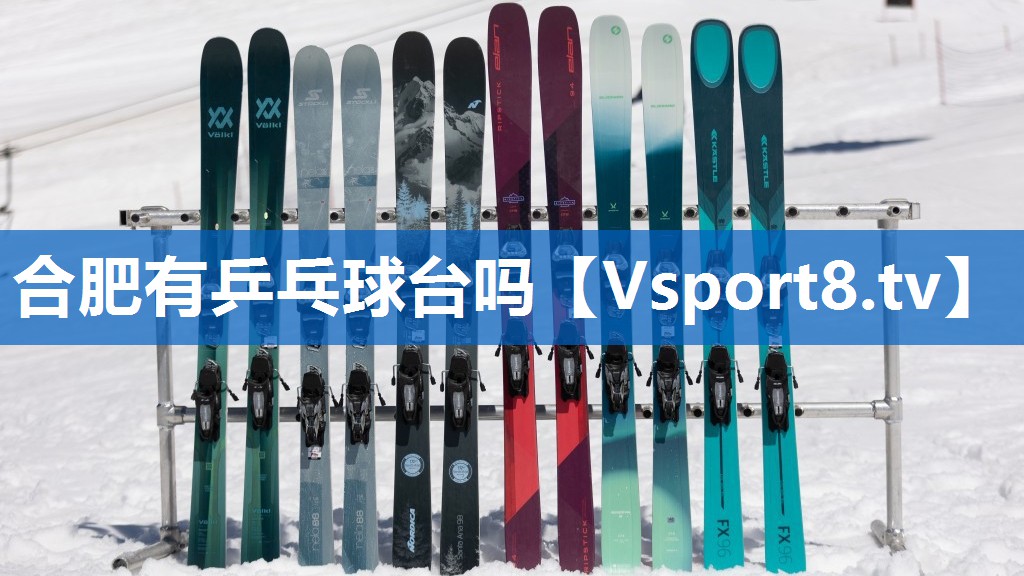 合肥有乒乓球台吗 合肥有乒乓球台吗