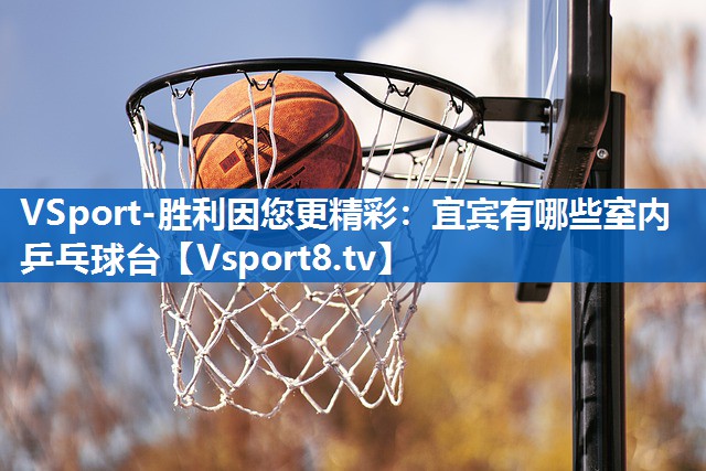 宜宾有哪些室内乒乓球台